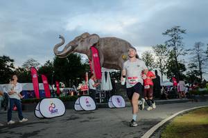 BIB: 
                            <button type="button" onclick="openModal(26529451)" class="btn btn-primary btn-sm float-right btn-popup" data-toggle="modal" data-target=".modal-high-quality">
                        <i class="fas fa-shopping-cart"></i> Add to Cart
                    </button>
                                            <button type="button" onclick="isThisMe(26529451, true)" class="btn btn-success btn-sm float-right btn-popup btn-isme hidden" data-toggle="tooltip" data-placement="bottom" title="นี่คือรูปของคุณใช่ไหม คลิกที่นี่เพื่อเอาเข้าอัลบั้ม">
                        <i class="fas fa-plus"></i> Add to album
                    </button>
                    <button type="button" onclick="isThisMe(26529451, false)" class="btn btn-warning btn-sm float-right btn-popup btn-isnotme hidden">
                        <i class="fas fa-ban"></i> Remove from album
                    </button>